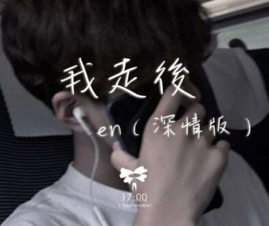 Wo Zou Hou Pinyin Lyrics, English & Indonesian Translation