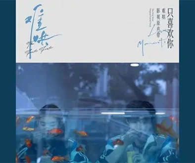 Xiang Qiao Qiao Zhu Jin Ni De Ling Hun Pinyin Lyrics, English & Indonesian Translation