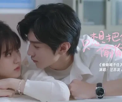 Zhi Xiang Ba Ni Tou Tou Cang Hao 只想把你偷偷藏好 Pinyin Lyrics, English & Indonesian Translation