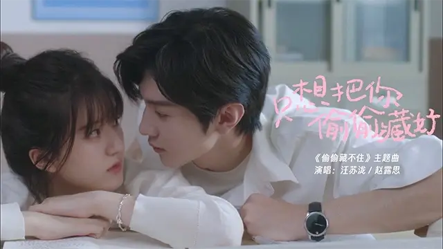 Zhi Xiang Ba Ni Tou Tou Cang Hao 只想把你偷偷藏好 Pinyin Lyrics, English & Indonesian Translation