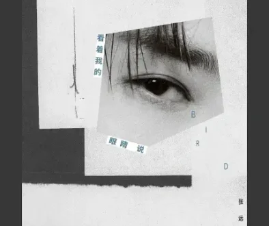 Kan Zhe Wo De Yan Jing Shuo 看着我的眼睛说 - Zhang Yuan 张远 Pinyin Lyrics, English & Indonesian Translation