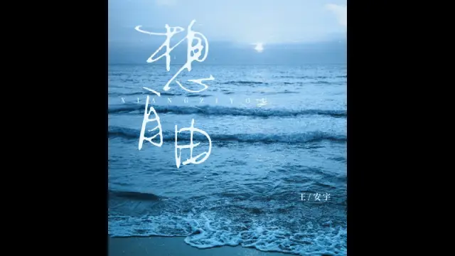 Xiang Zi You 想自由 - Wang An Yu 王安宇 Pinyin Lyrics