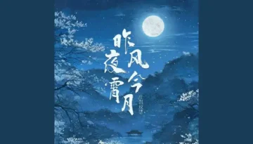 Zuo Ye Feng Jin Xiao Yue 昨夜风今宵月 - Zhuang Qiwen 29 庄淇玟29 Lyrics